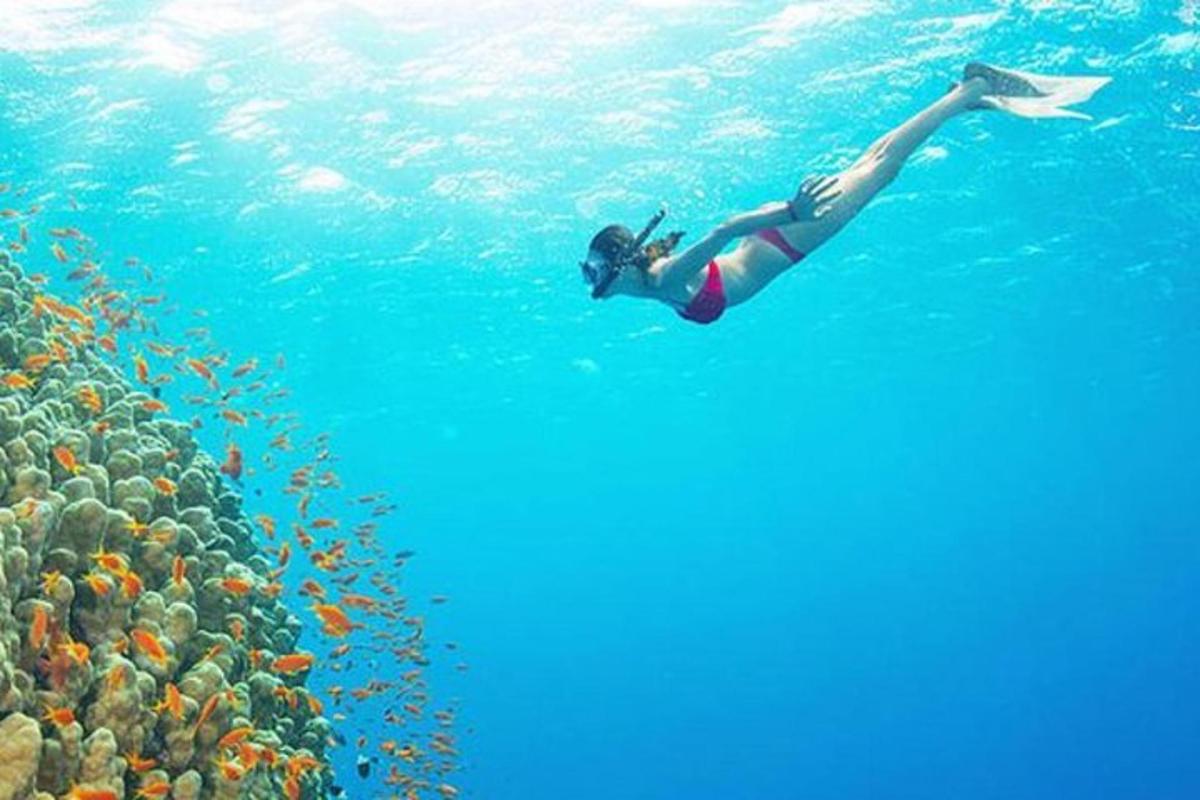 eine Frau, die im Wasser in der Nähe eines Korallenriffs schwimmt