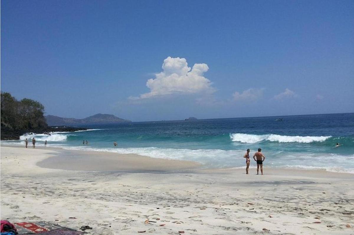 a group of people standing on a beach