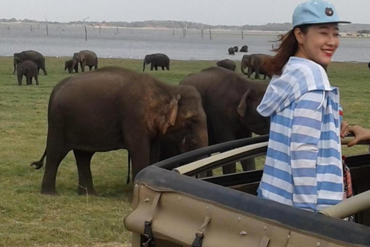 a woman standing in a truck looking at a herd of elephants