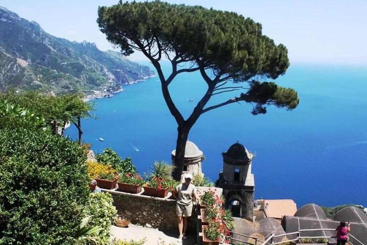 a man standing next to a tree next to the ocean