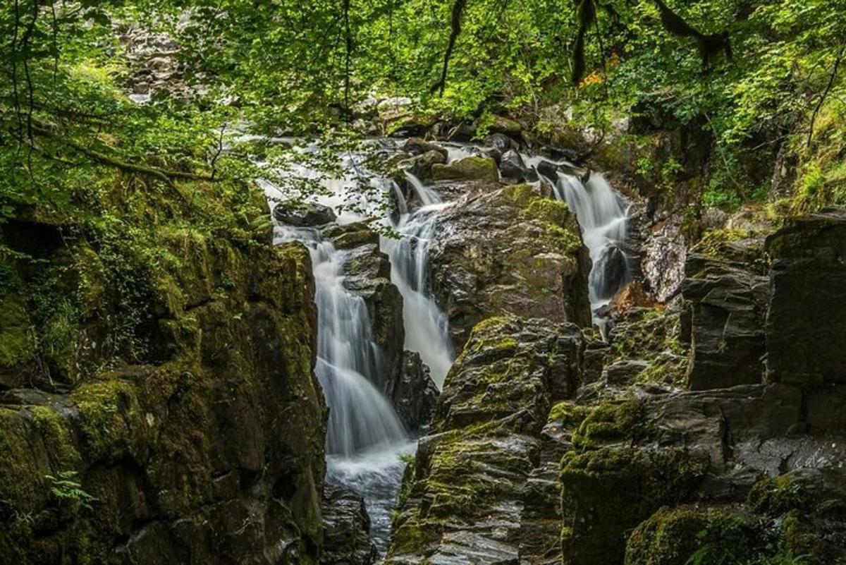 ein Wasserfall mitten im Wald