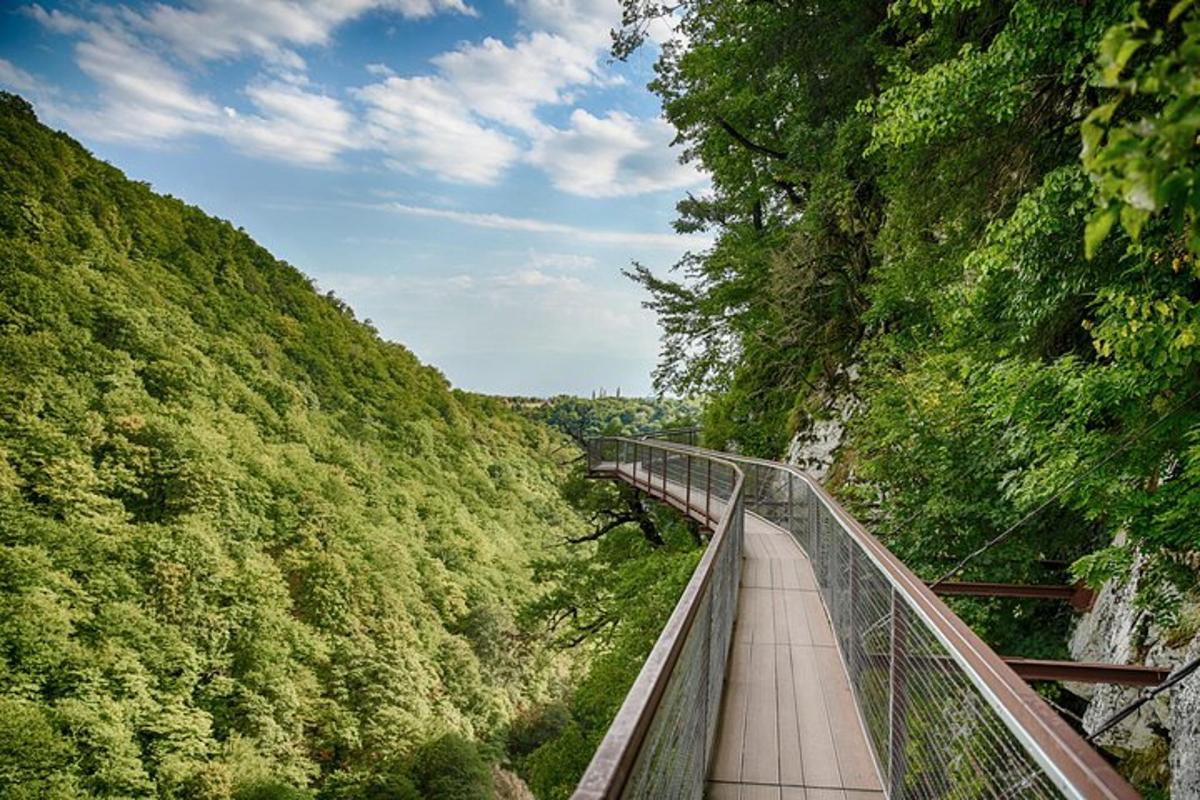 a bridge in the middle of a forest with trees
