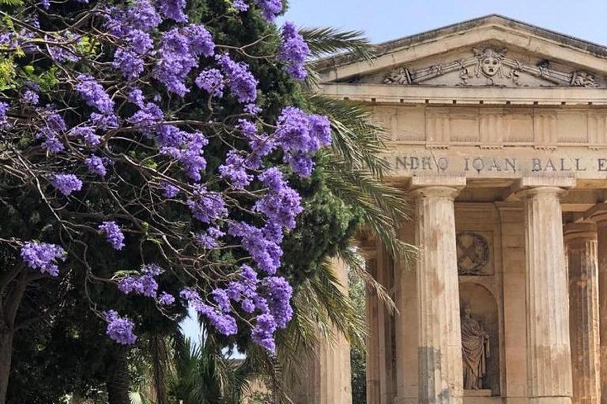 a bush of purple flowers in front of a building
