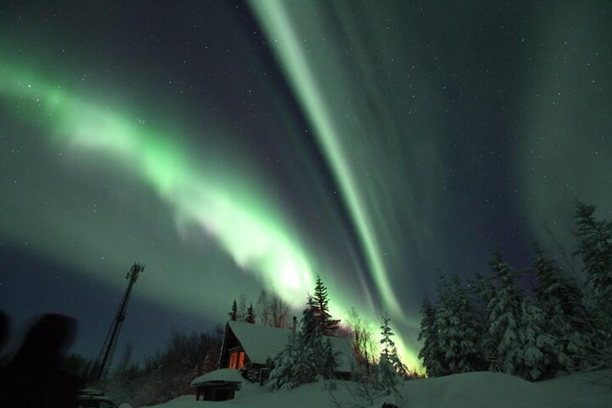 un'aurora nel cielo sopra una baita con alberi