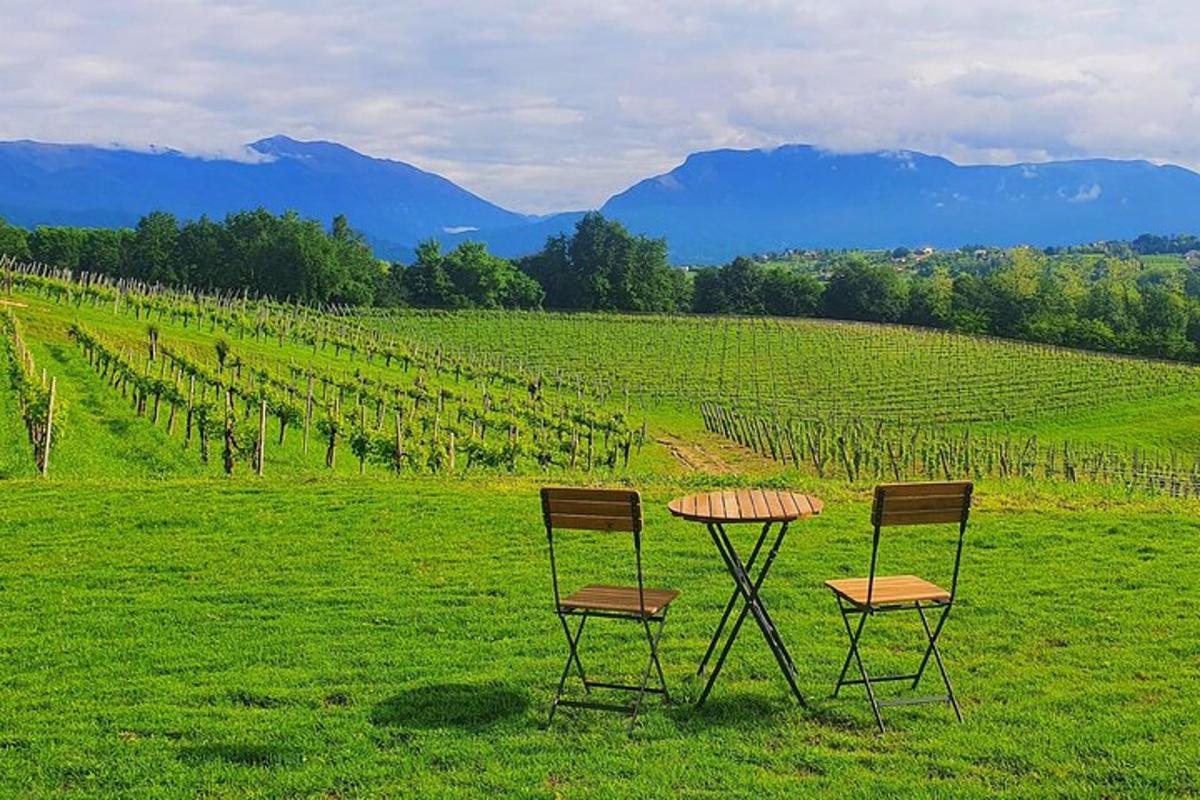 Dos sillas y una mesa en medio de un campo
