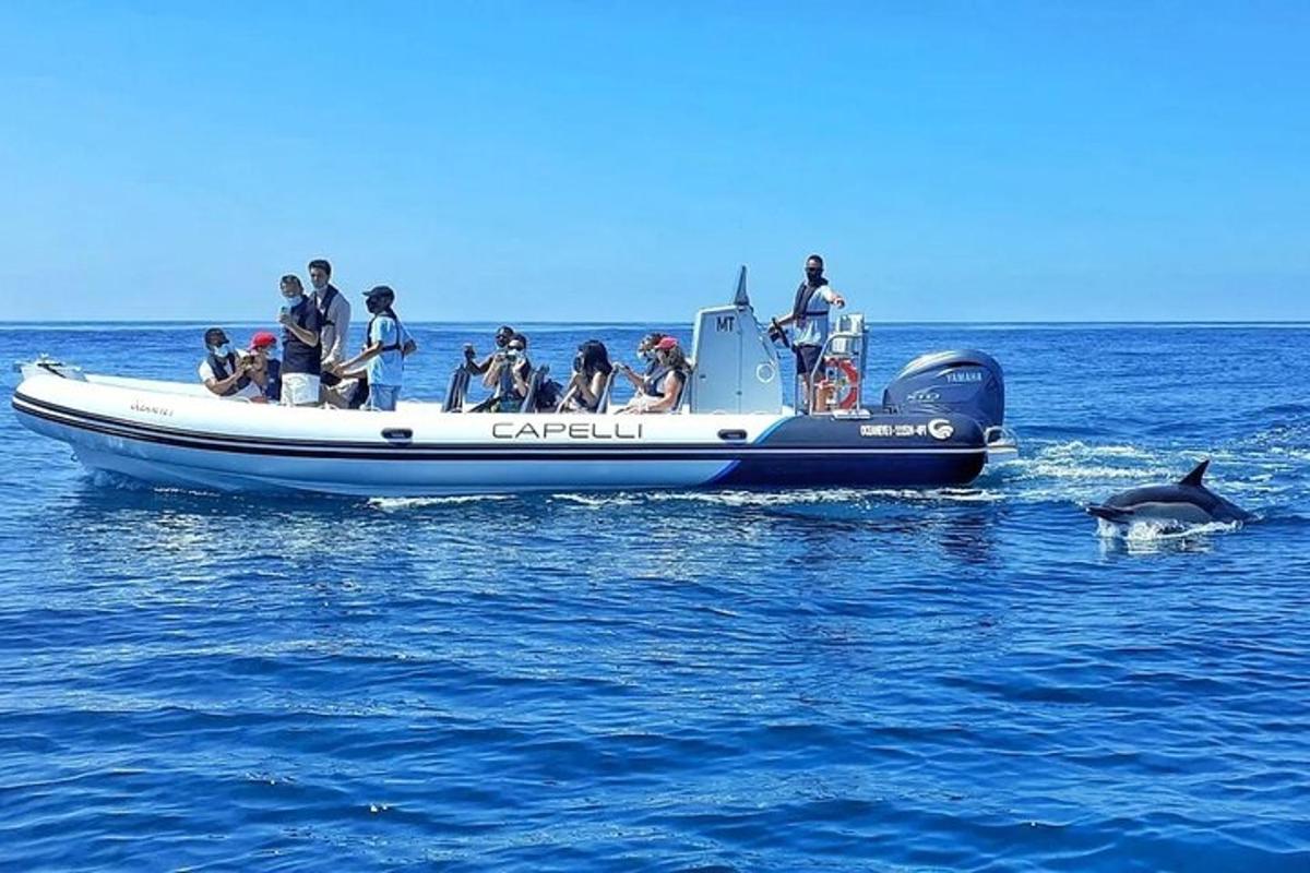 a group of people on a boat in the water with a dolphin