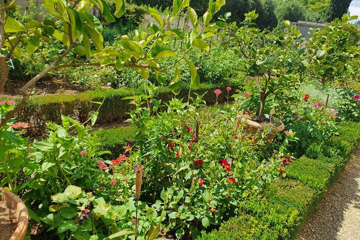 taman yang dipenuhi dengan banyak bunga dan tumbuhan