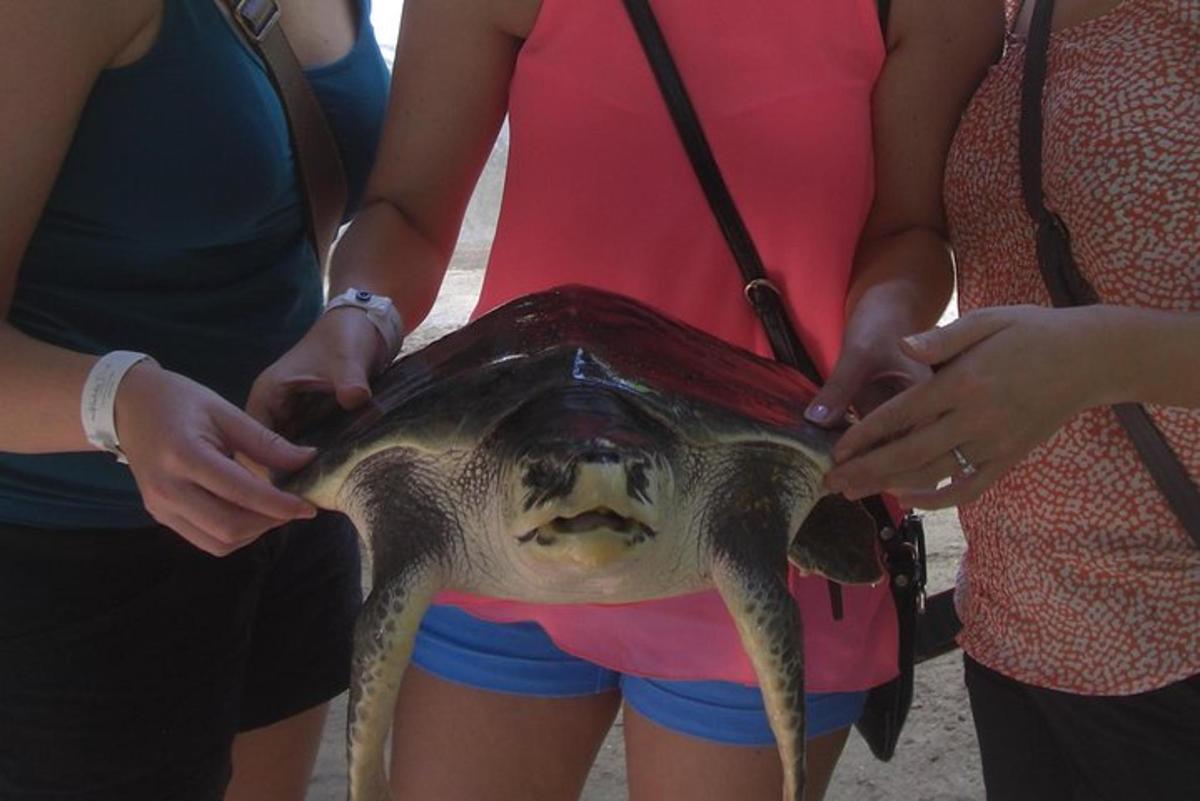 un gruppo di persone che tengono un pesce nella borsa