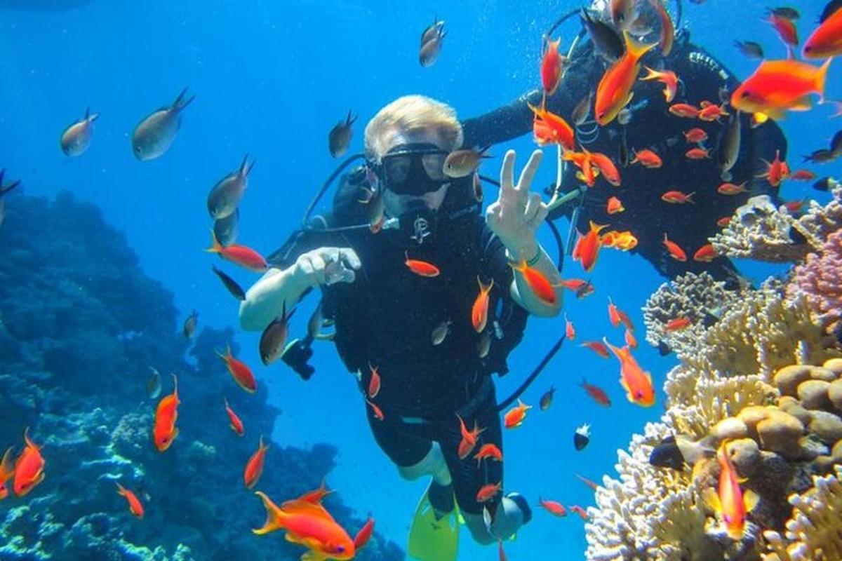 ein Taucher im Meer mit einem Fischschwarm