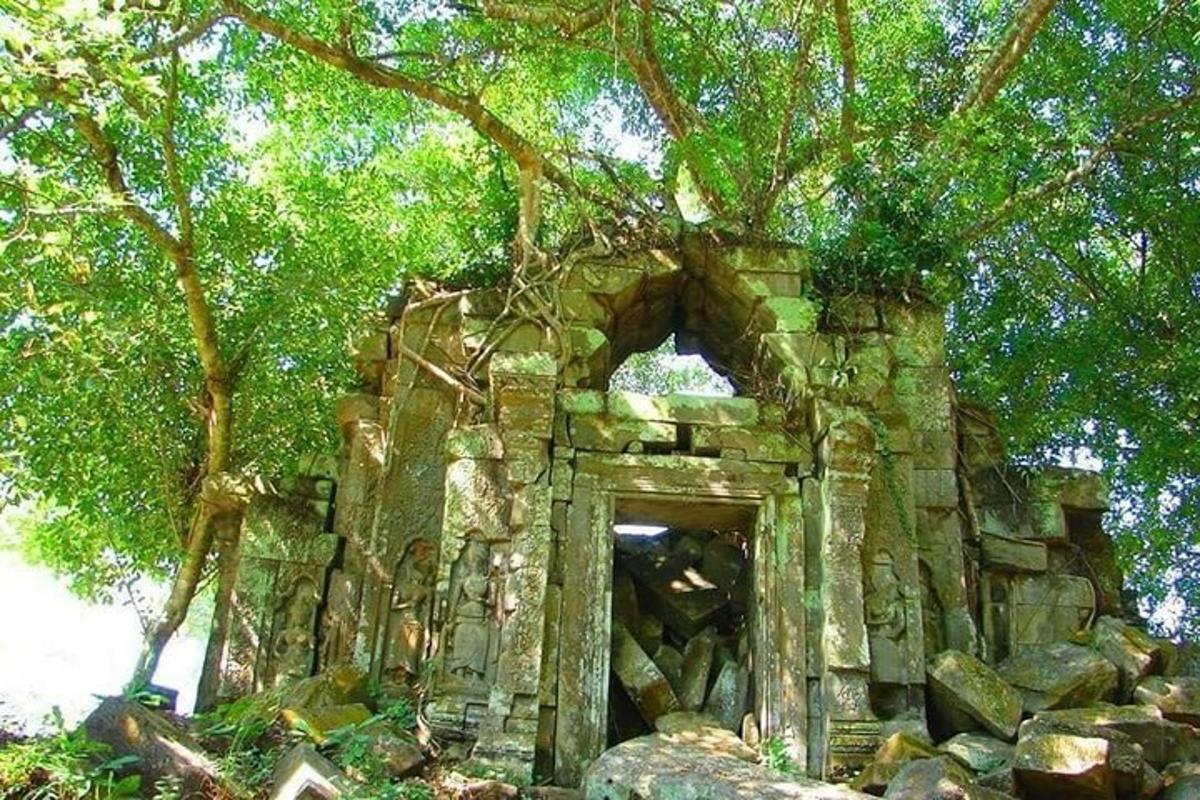 sebuah bangunan batu tua dengan pohon di atasnya
