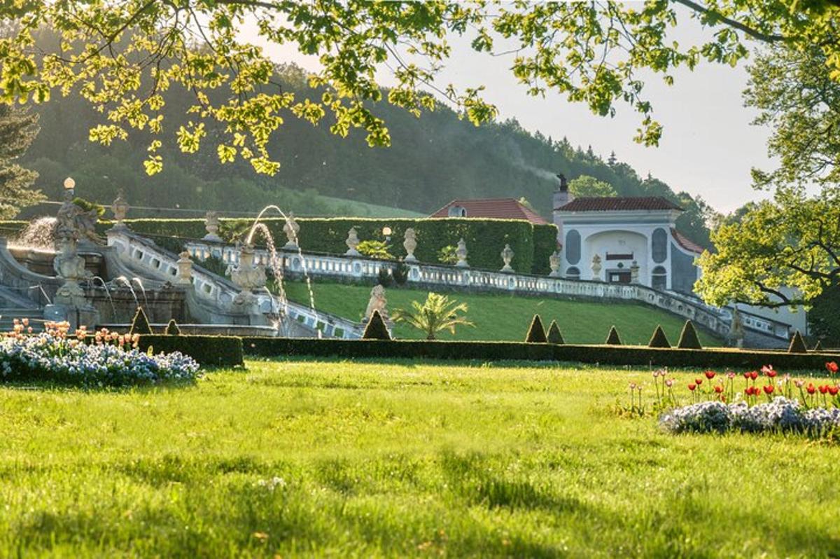 a house on a hill with a green field with flowers