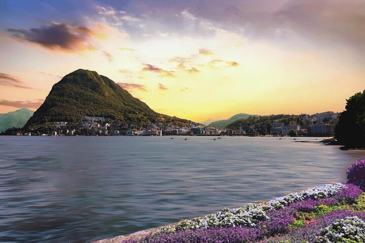 a view of a beach and a mountain with purple flowers
