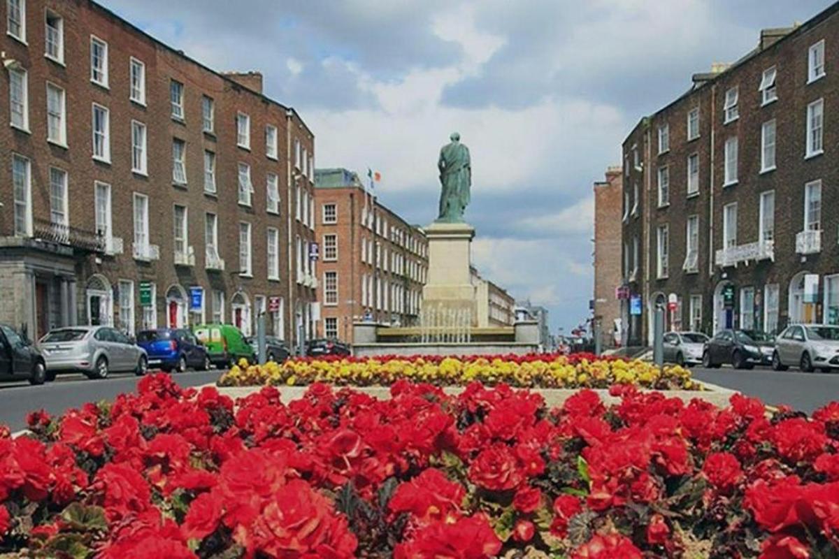 um canteiro de rosas vermelhas em uma cidade com uma estátua