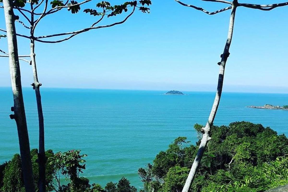 a view of the ocean from a hill with trees