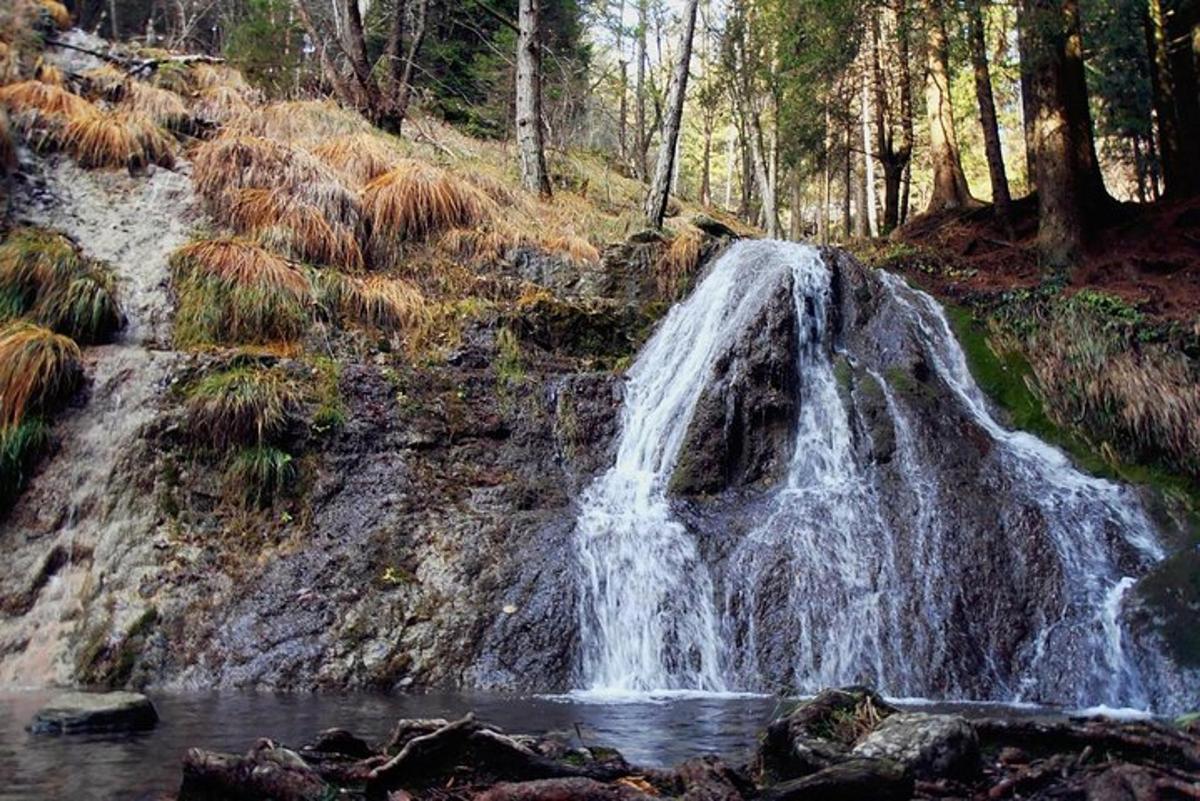 a waterfall in the middle of a forest