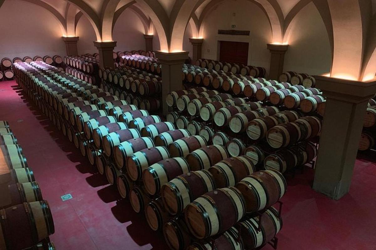 una fila di botti di vino in una cantina