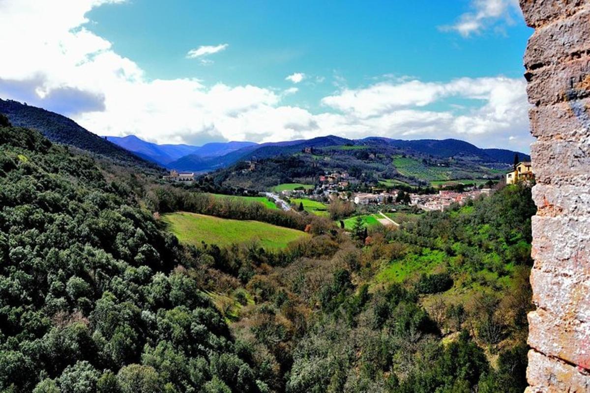 una vista di una città in una valle con montagne