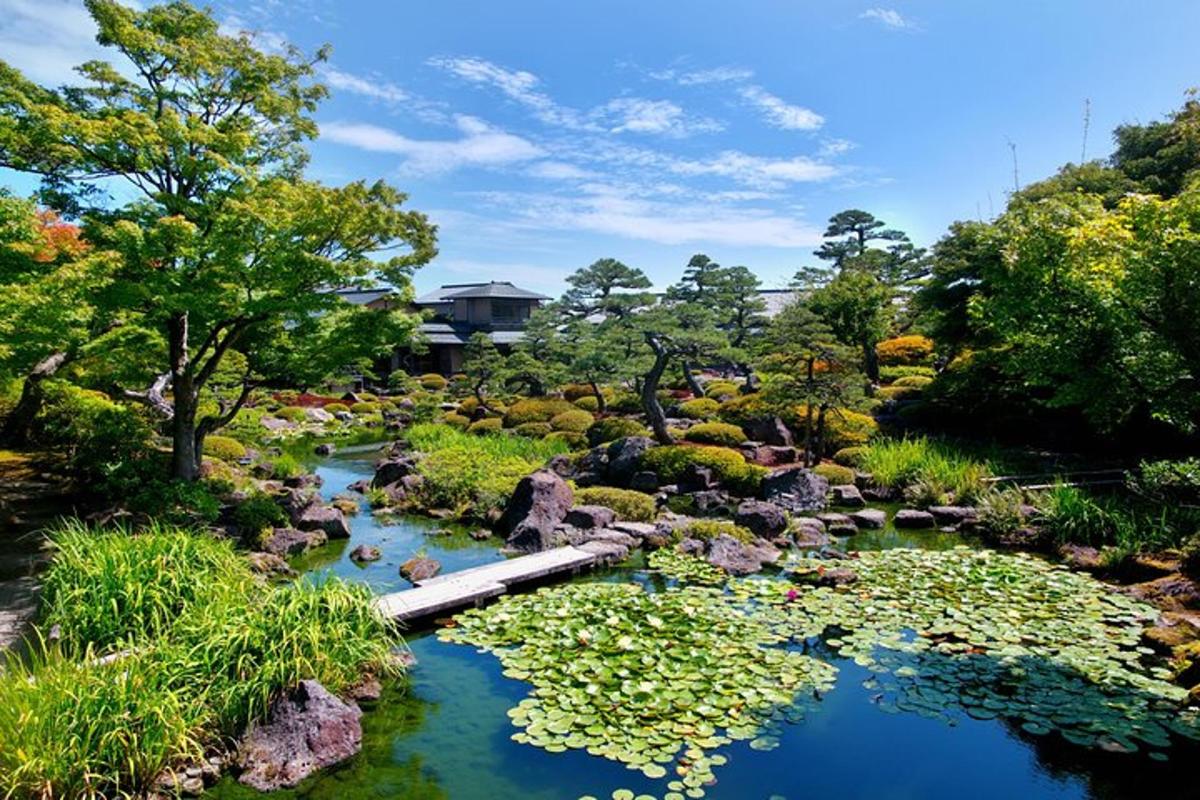 a garden with a pond with water lilies