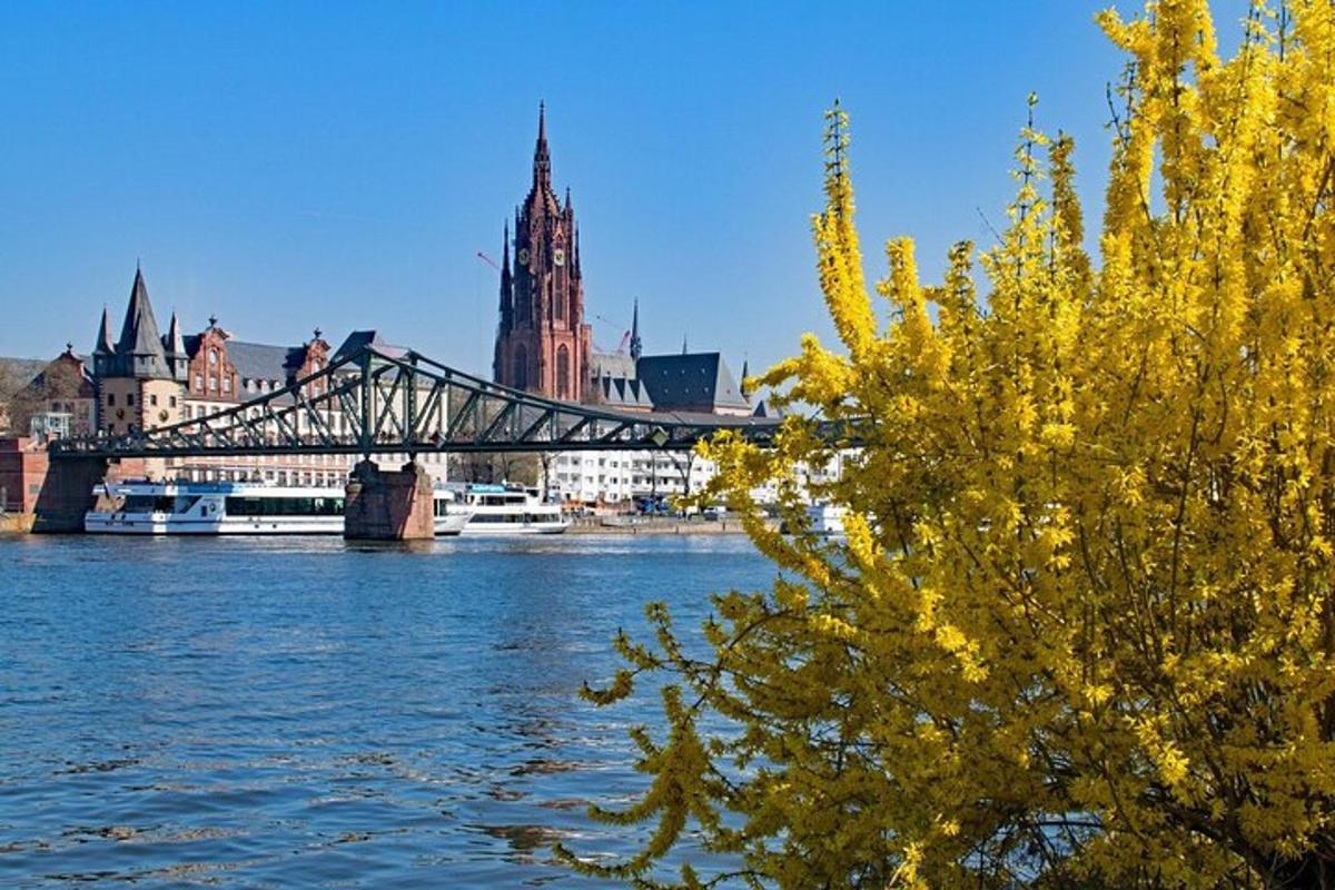 un ponte sopra un fiume con edifici e un albero