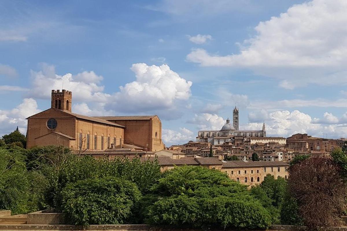 Una vista de una ciudad con edificios y árboles.