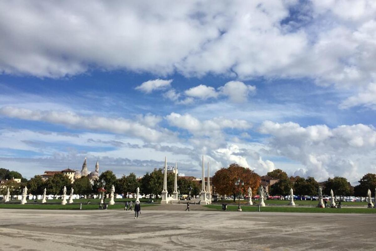a group of people walking around a park