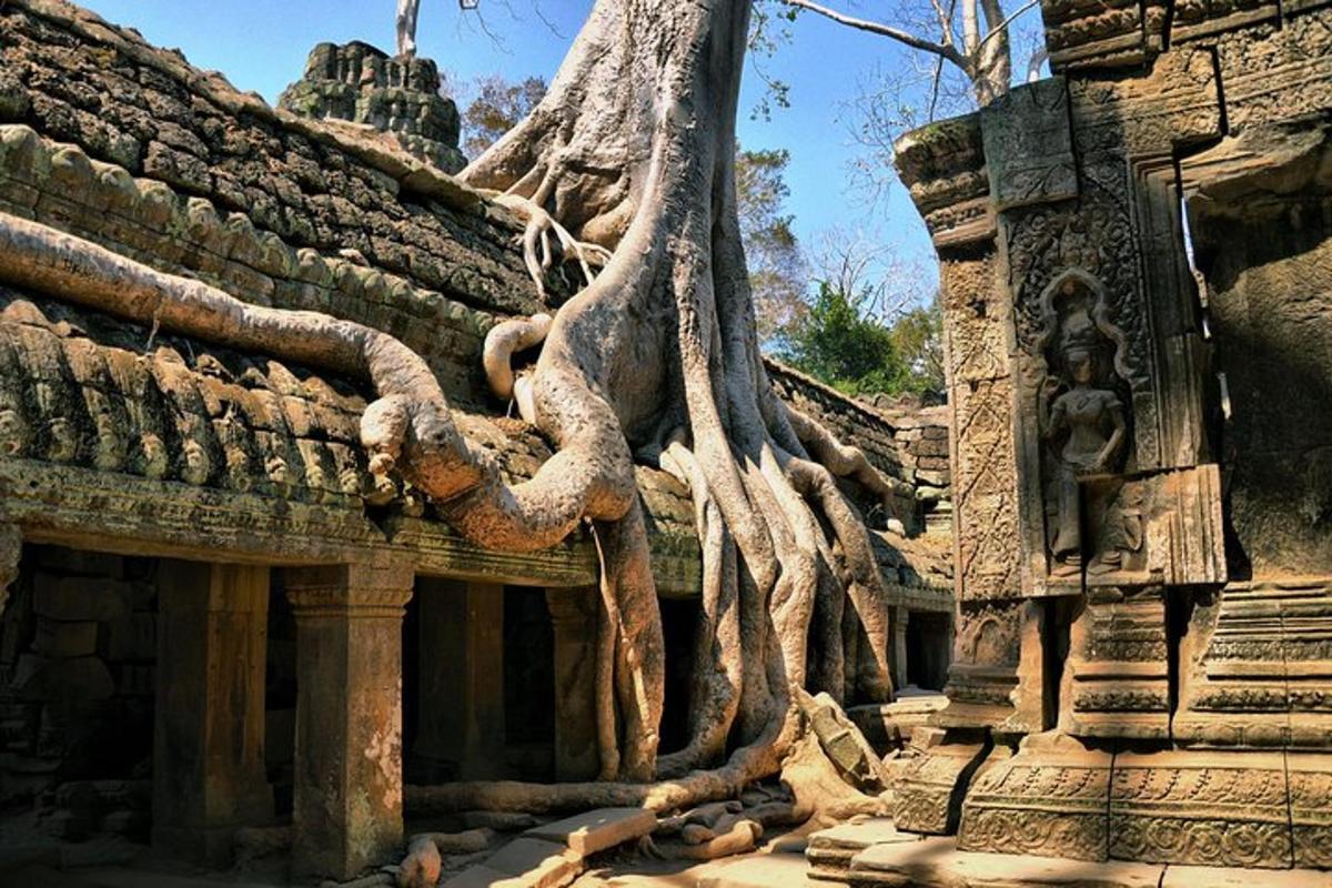 một tòa nhà có cây mọc ở bên hông