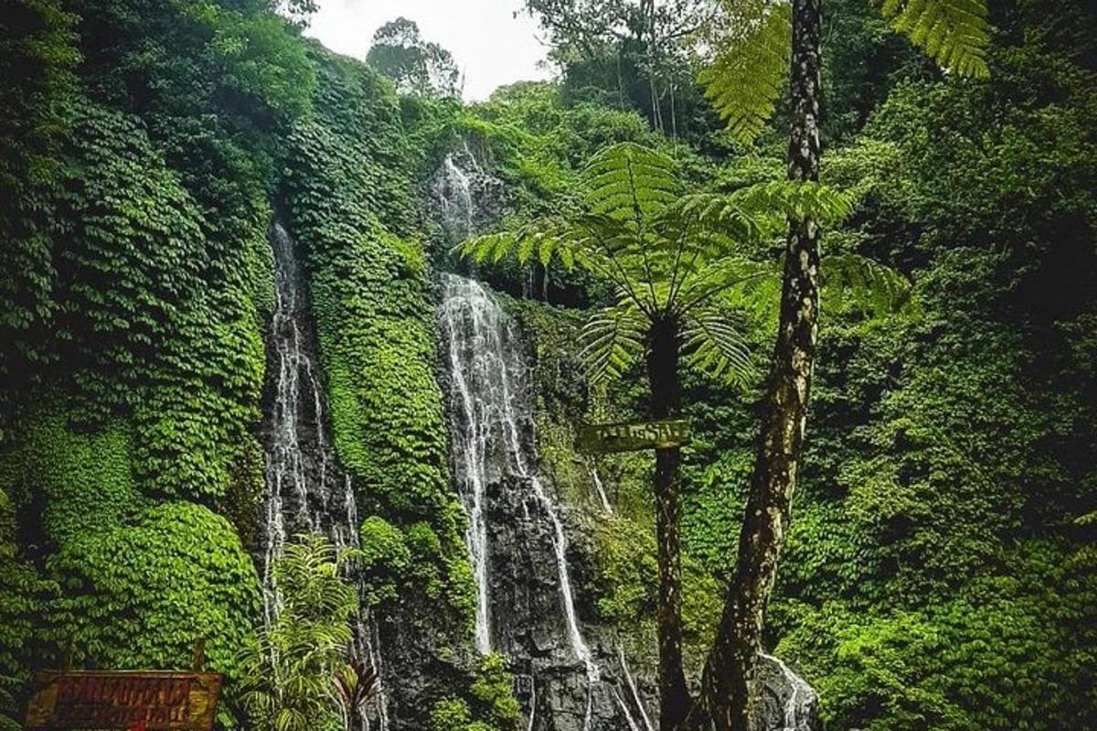 o pictură a unei cascade în junglă