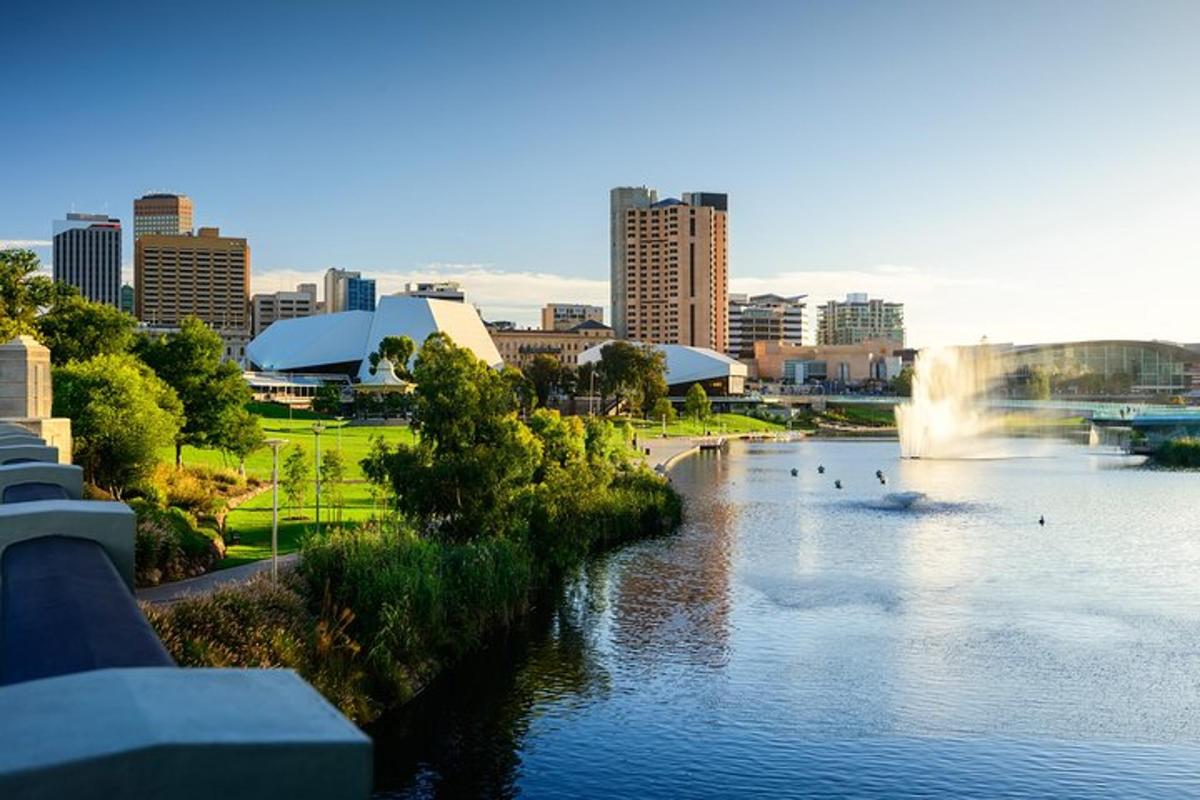 una vista di un fiume con anatre in una città