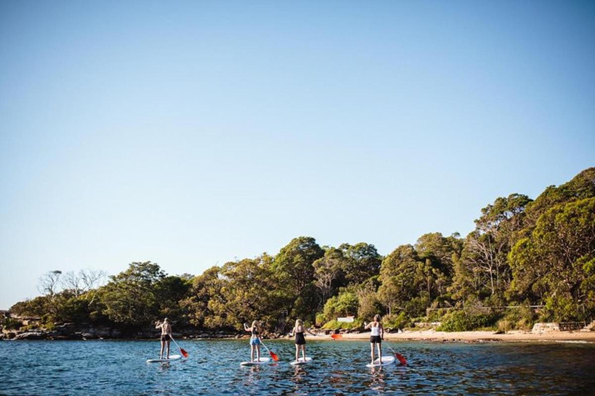 skupina lidí na paddleboardech ve vodě