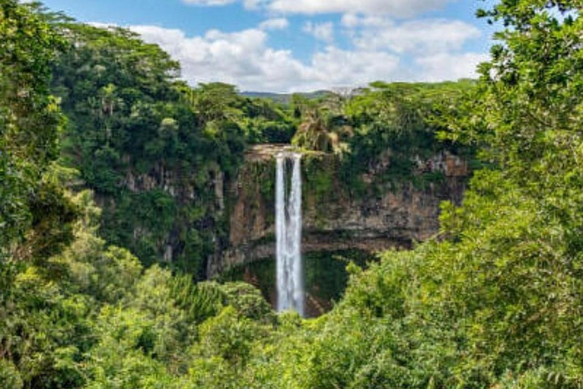 una cascata in mezzo a una foresta