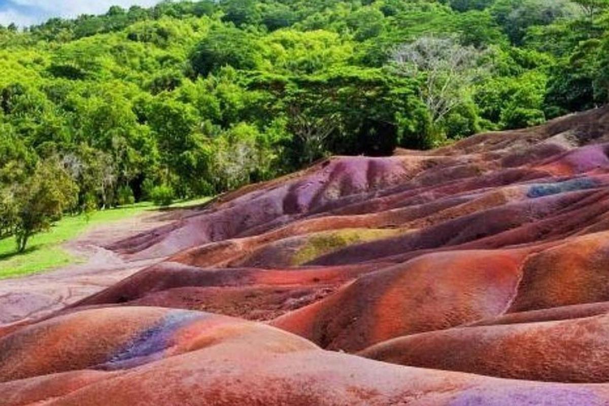 un mucchio di rocce con alberi sullo sfondo