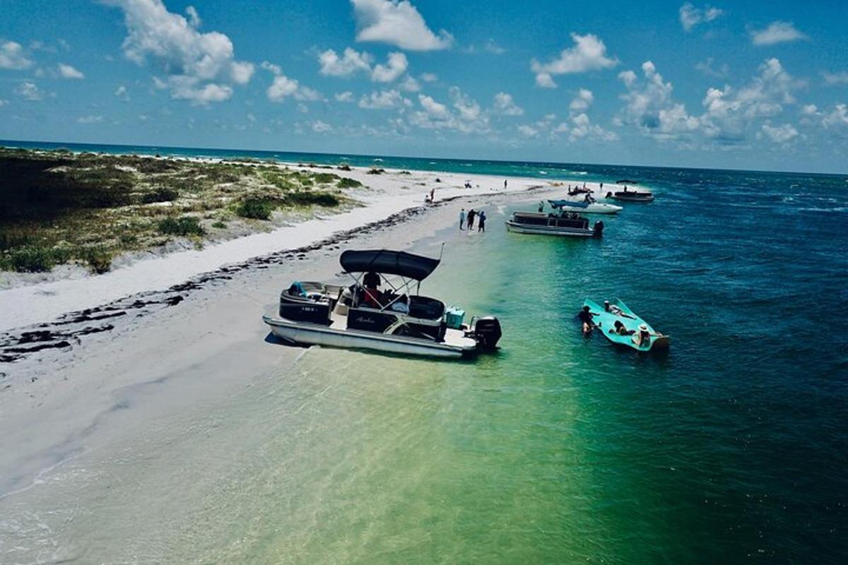 um grupo de barcos em uma praia na água