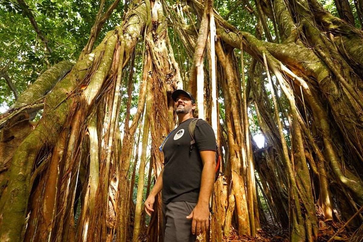 un uomo in piedi davanti a un albero