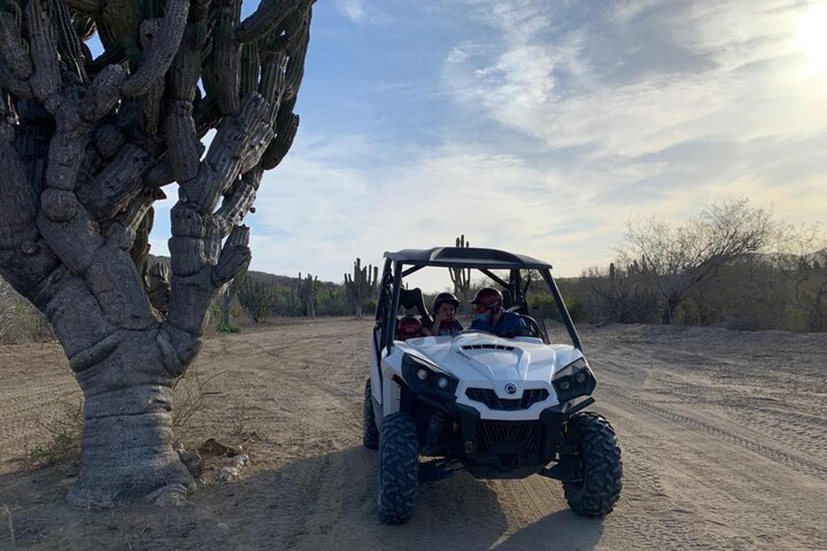 bir ağacın yanında park etmiş bir ATV'deki iki kişi