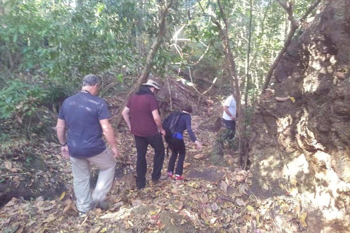 a group of people walking on a trail in the woods
