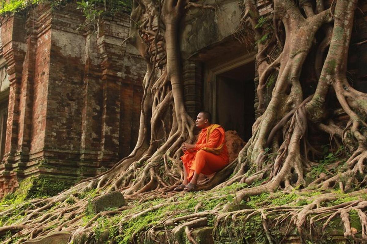 un uomo seduto sul lato di un edificio con radici di albero