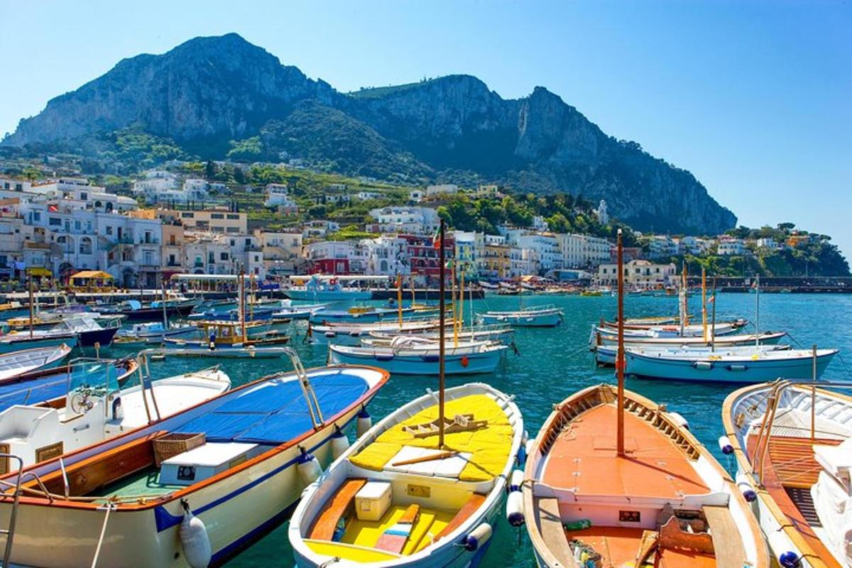 a bunch of boats are docked in a harbor