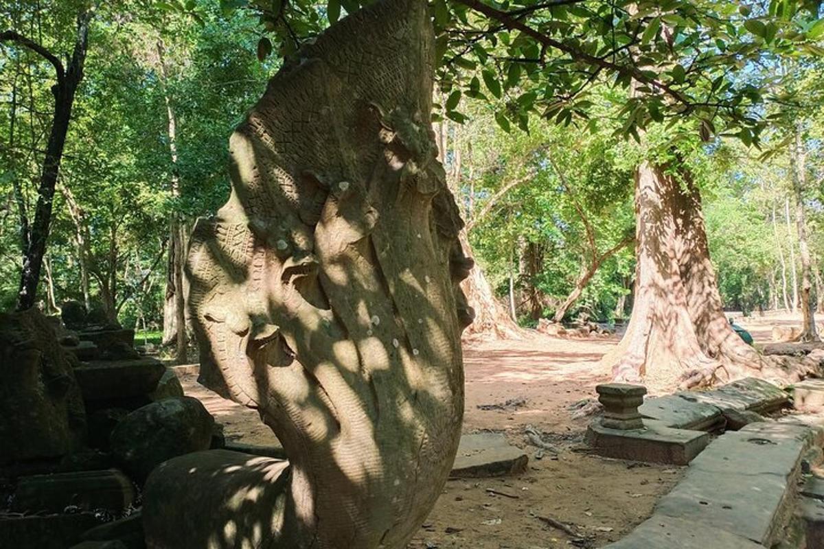 a statue of a tree with its shadow on it