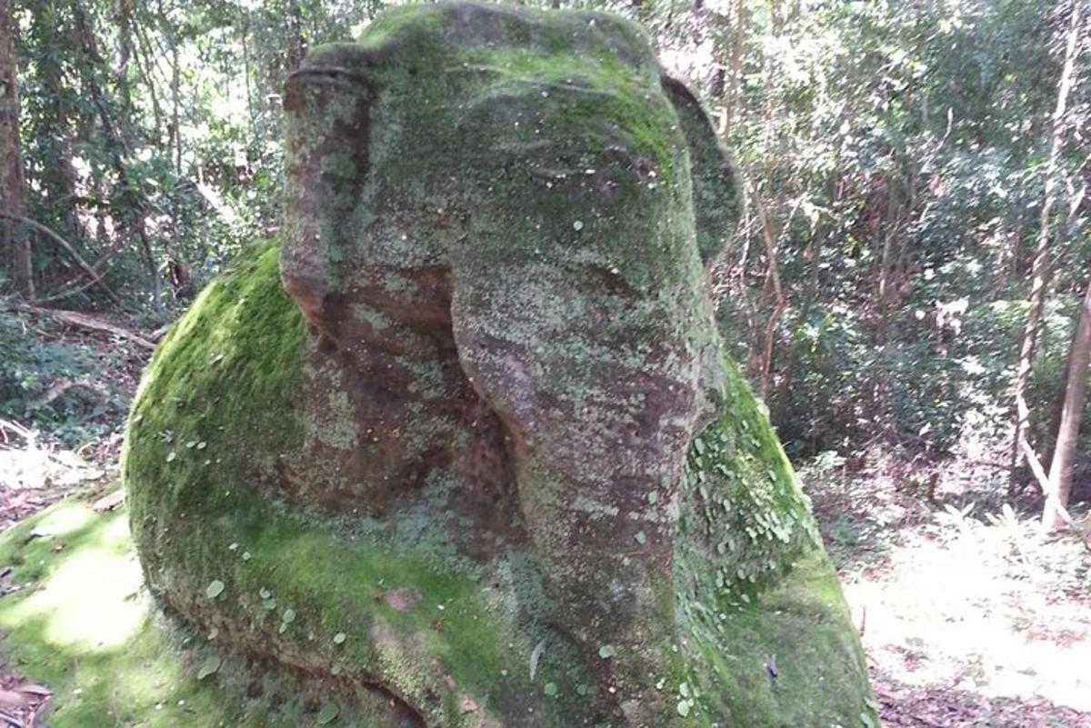 una statua di pietra in mezzo a una foresta