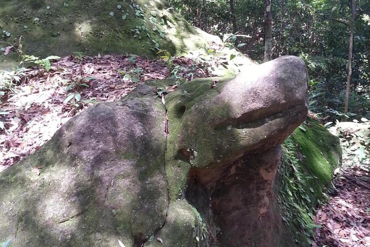 una estàtua d'una cara en una roca al bosc