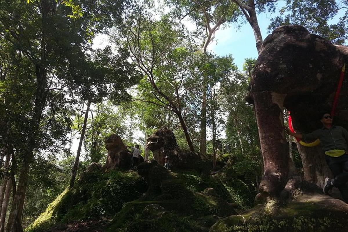 un uomo che tiene un frisbee accanto a un albero