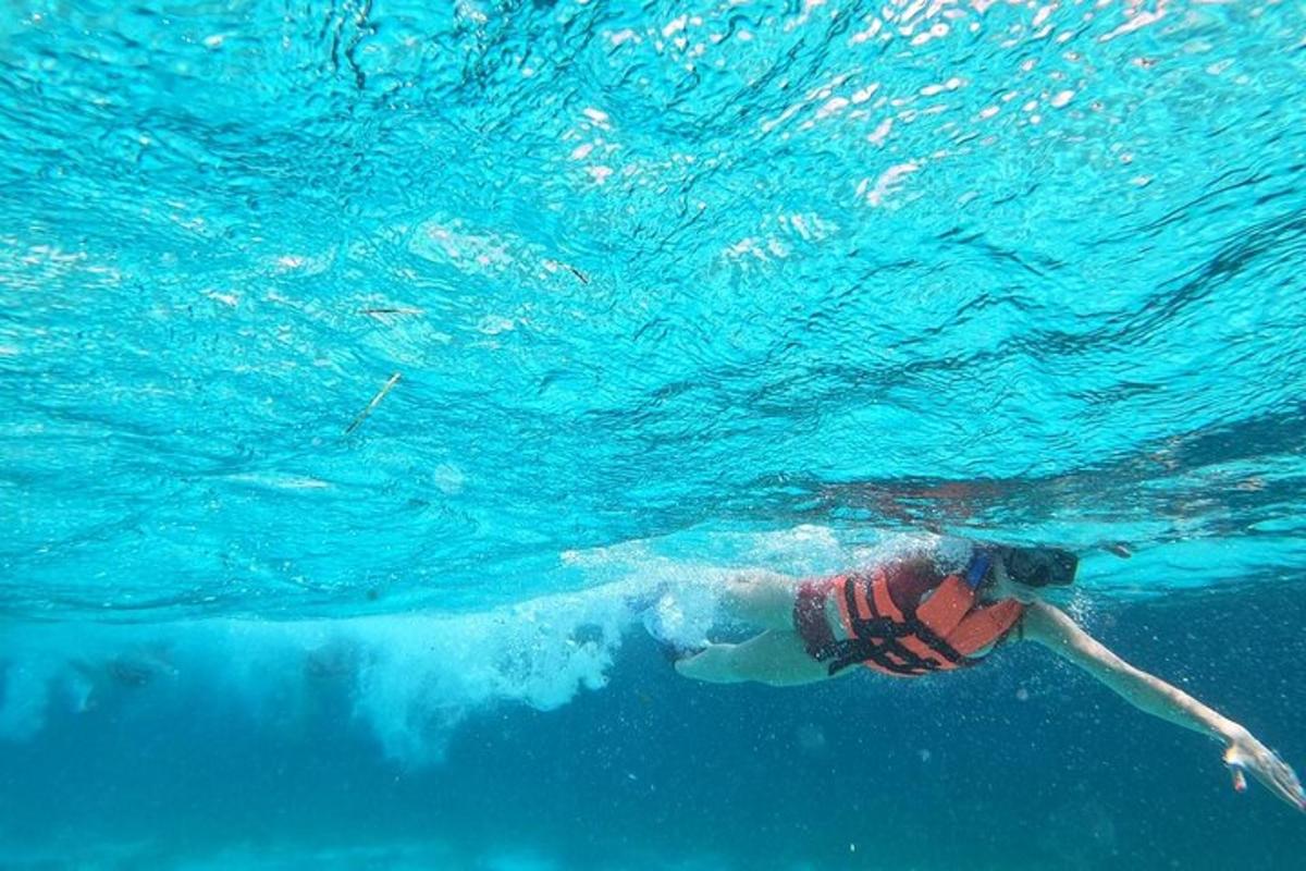 una persona sta nuotando nell'acqua