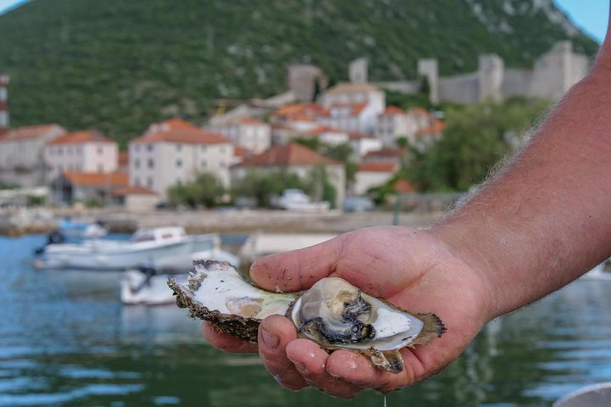 oseba, ki drži ostrigo v roki blizu vode