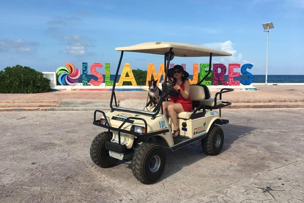 a woman sitting in a golf cart with a dog