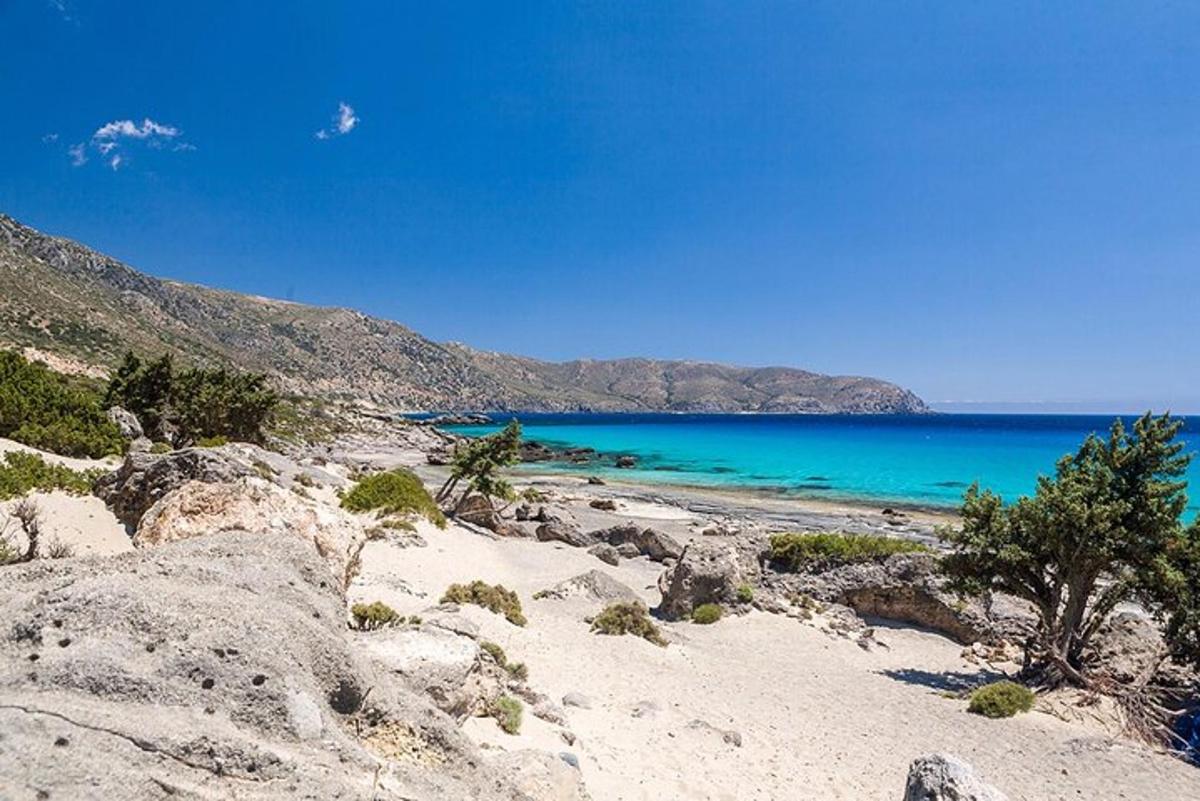 una spiaggia con acqua blu, rocce e alberi