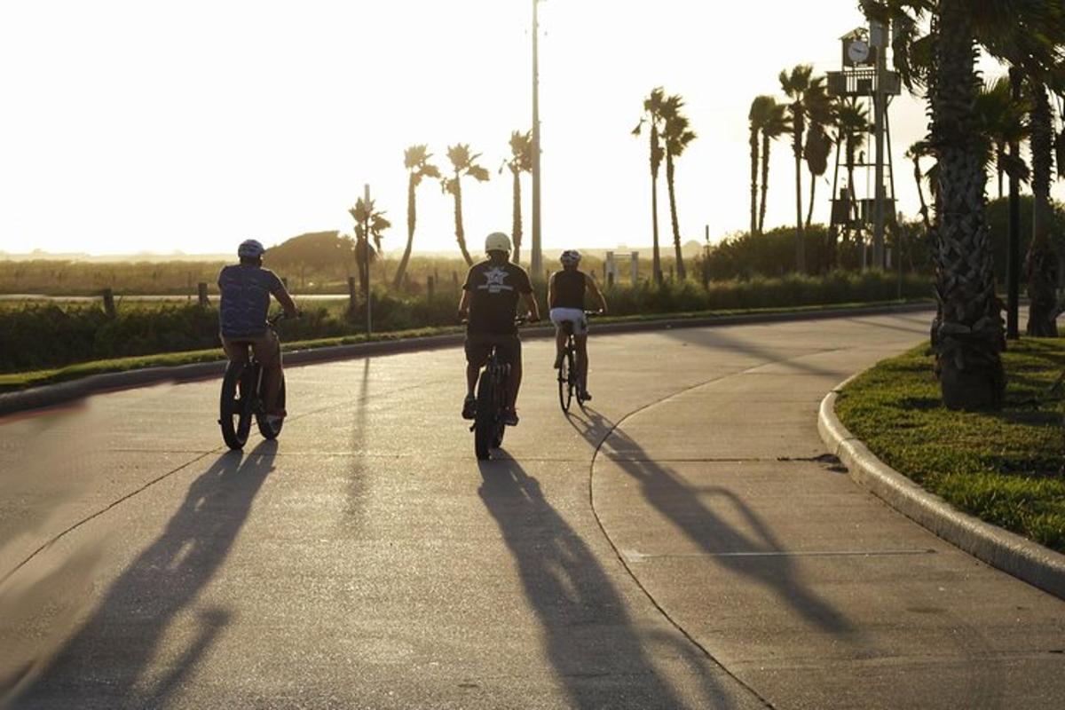 three people riding bikes down a road with palm trees
