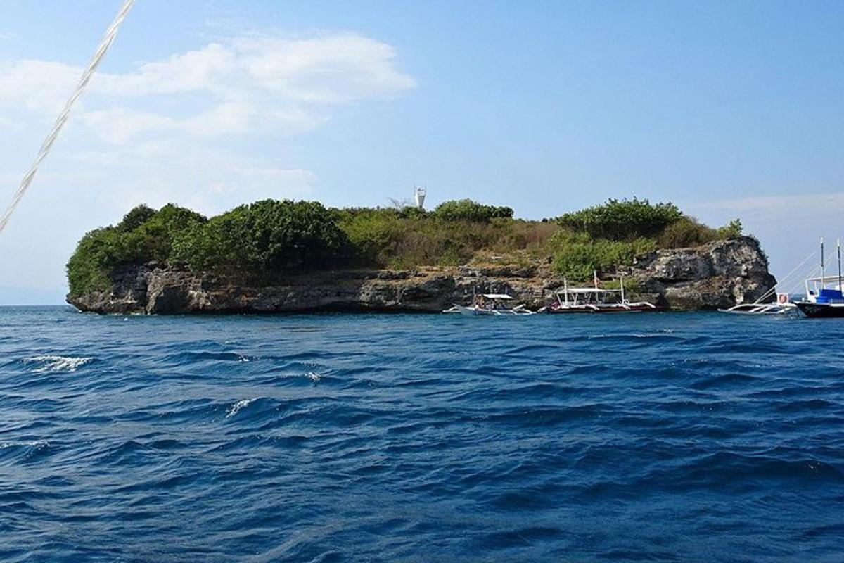 ένα μικρό νησί στη μέση του νερού