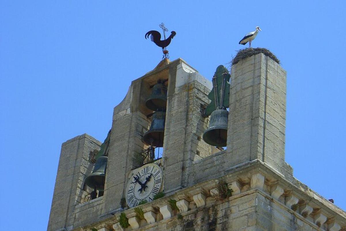 una torre con un orologio e un uccello in cima