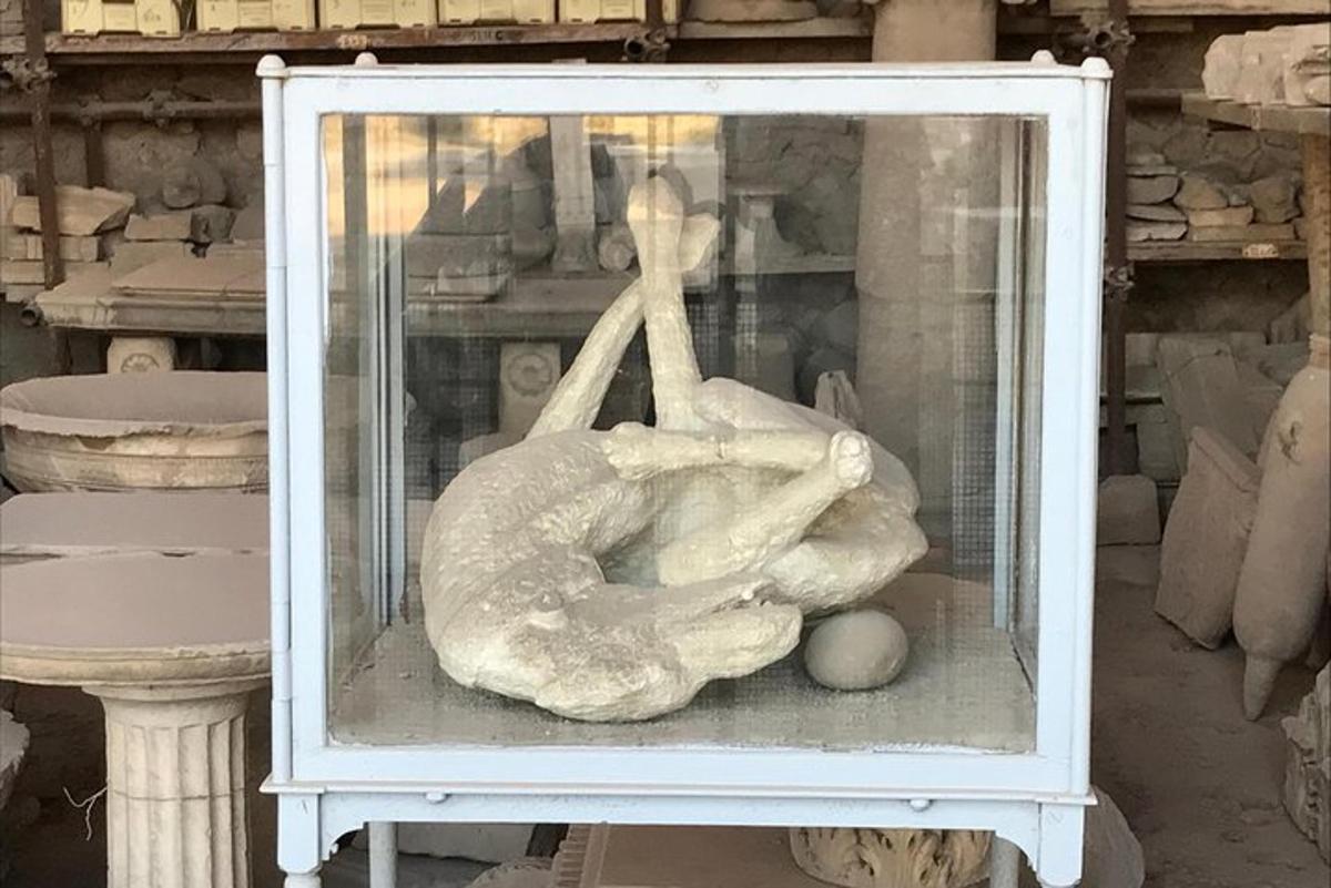 una estatua de una persona en una vitrina de cristal