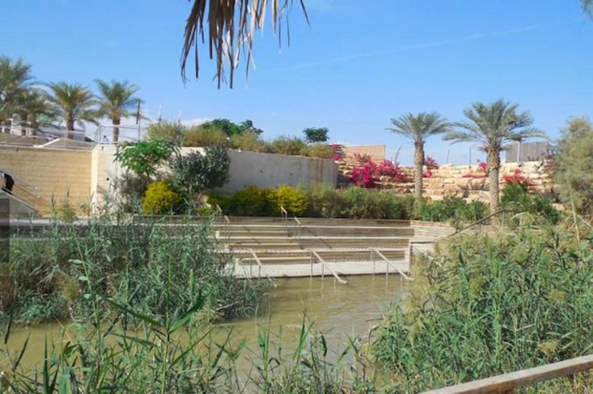 a group of benches in a park with palm trees